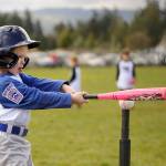 T-ball player Emily Stamon, 5, of AirFlo lines up her first hit of the 2017 season. Sequim Gazette photos by Michael Dashiell