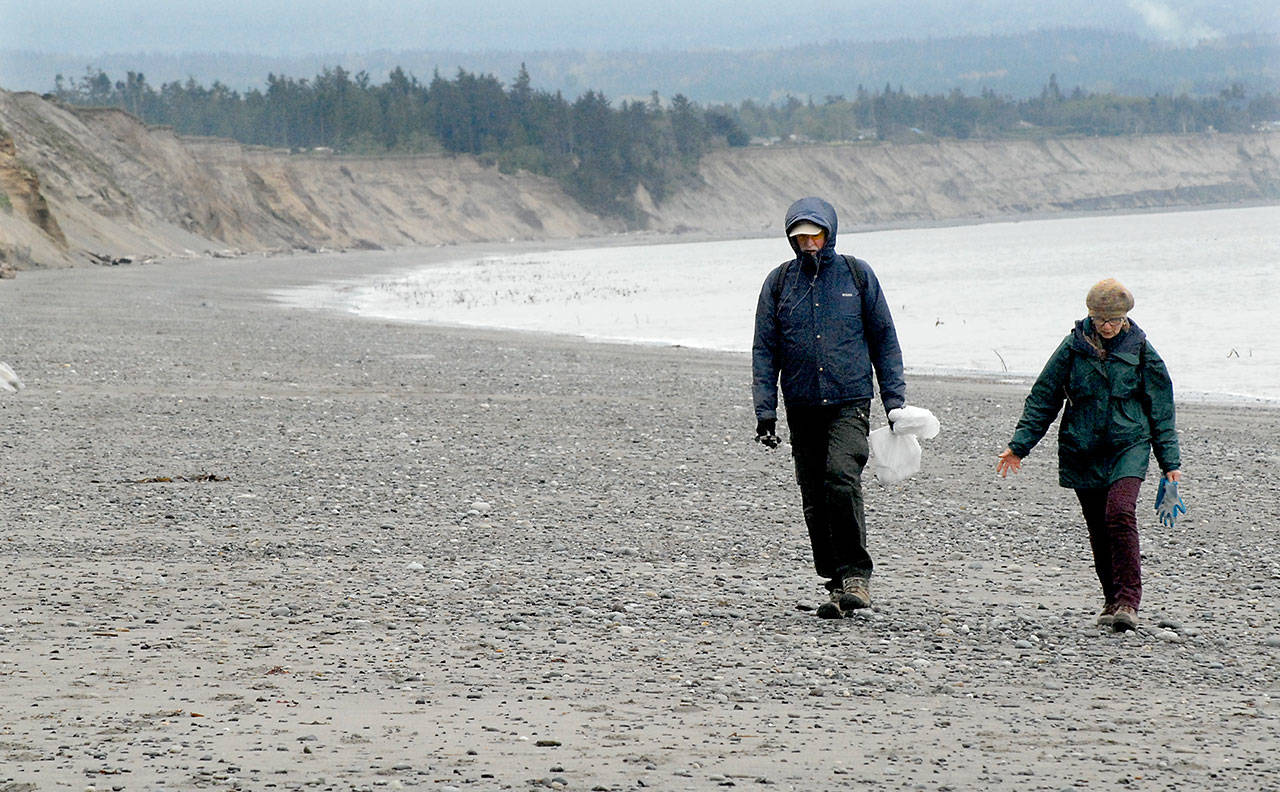 Keith Thorpe/Peninsula Daily News George and Jolie Will of Sequim look for litter on the beach on Saturday near the Dungeness National Wildlife Refuge near Sequim as part of statewide effort to remove trash and other unwanted debris from along Washington&rsquo;s coasts. The event, hosted by the Washington CoastSavers program, saw volunteers spread out to scour beaches along the Pacific coastline and the Strait of Juan de Fuca.