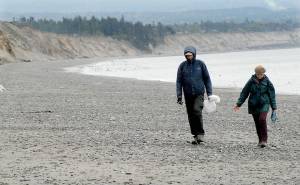 Keith Thorpe/Peninsula Daily News George and Jolie Will of Sequim look for litter on the beach on Saturday near the Dungeness National Wildlife Refuge near Sequim as part of statewide effort to remove trash and other unwanted debris from along Washington&rsquo;s coasts. The event, hosted by the Washington CoastSavers program, saw volunteers spread out to scour beaches along the Pacific coastline and the Strait of Juan de Fuca.