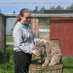 Gary and Suzanne Brooks said their daughter Jessica&rsquo;s love for animals started around age 11 when she began caring for local sheep and other farm animals. She began volunteering at Sequim Animal Hospital at age 14 and began college at 17 with the intent to become a veterinarian. Photos courtesy of the Brooks family