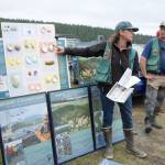 Digging for Dinner in Quilcene on May 13