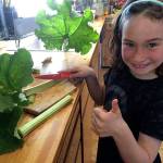 Farm To Table: Get ready for rhubarb