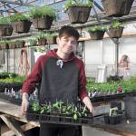 Sergio Yanez, a ninth-grade student, transfers flats of seedlings to a different location within the greenhouse. In addition to the greenhouse activities, agricultural science students also work with rabbits and chickens in the hatchery on campus. Photo by Patsene Dashiell