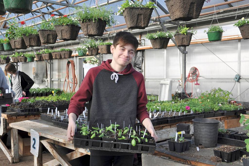 Sergio Yanez, a ninth-grade student, transfers flats of seedlings to a different location within the greenhouse. In addition to the greenhouse activities, agricultural science students also work with rabbits and chickens in the hatchery on campus. Photo by Patsene Dashiell