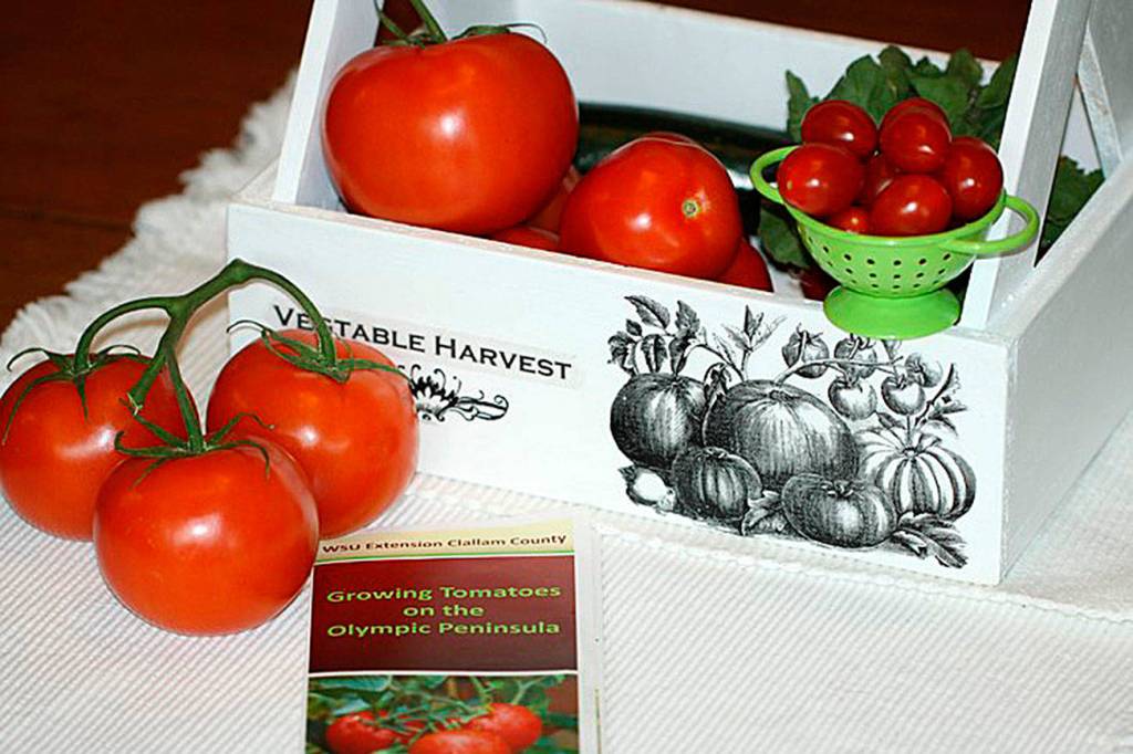 Get It Growing: Using what you grow, with tomatoes