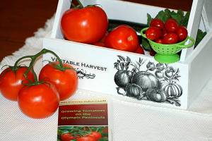 Get It Growing: Using what you grow, with tomatoes