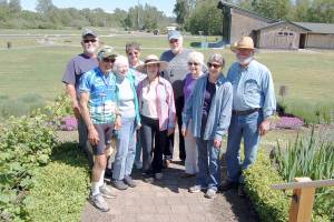 Community garden blooming to life