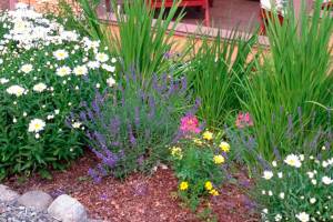 Get It Growing: All about weeds