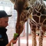 Twiga’s small miracle