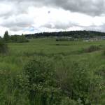 Bell Estates, a 103-home subdivision, would be built off of Brownfield Road below Miller Road and Bell Hill within the City of Sequim&rsquo;s limits. Sequim Gazette photo by Matthew Nash