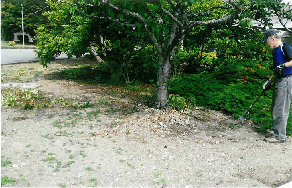 Crane soars to Eagle Scout rank