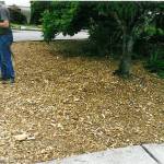 Crane soars to Eagle Scout rank