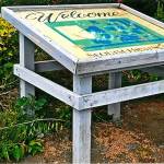 Crane soars to Eagle Scout rank