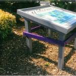 Crane soars to Eagle Scout rank