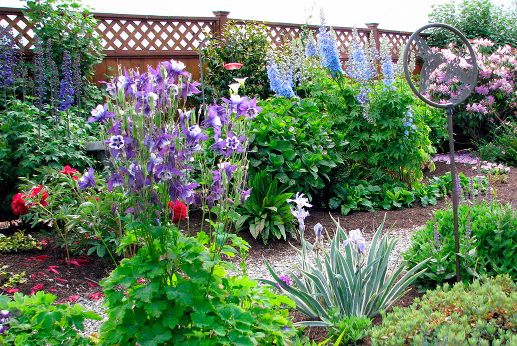 Stroll through petals along pleasant pathways during garden tour