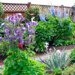 Stroll through petals along pleasant pathways during garden tour