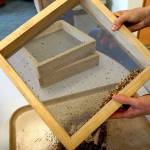 Off the Shelf: New NOLS Grows seed library sprouts