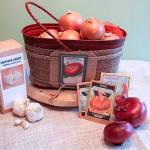 Get It Growing: Garlic and onions