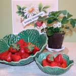 Get It Growing: Growing strawberries