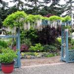 Stroll through petals along pleasant pathways during garden tour