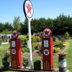 Stroll through petals along pleasant pathways during garden tour