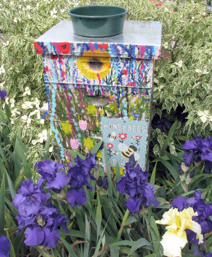 Stroll through petals along pleasant pathways during garden tour