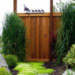 Stroll through petals along pleasant pathways during garden tour