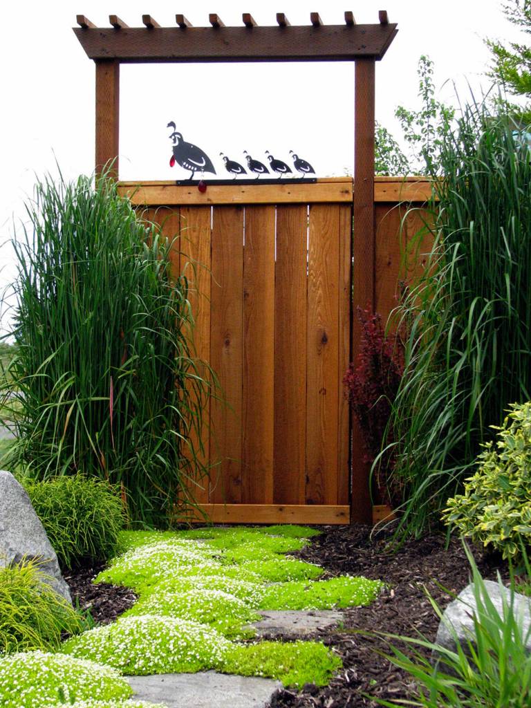 Stroll through petals along pleasant pathways during garden tour