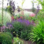 Stroll through petals along pleasant pathways during garden tour