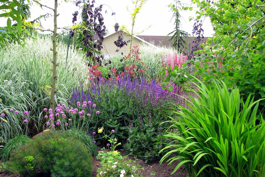 Stroll through petals along pleasant pathways during garden tour