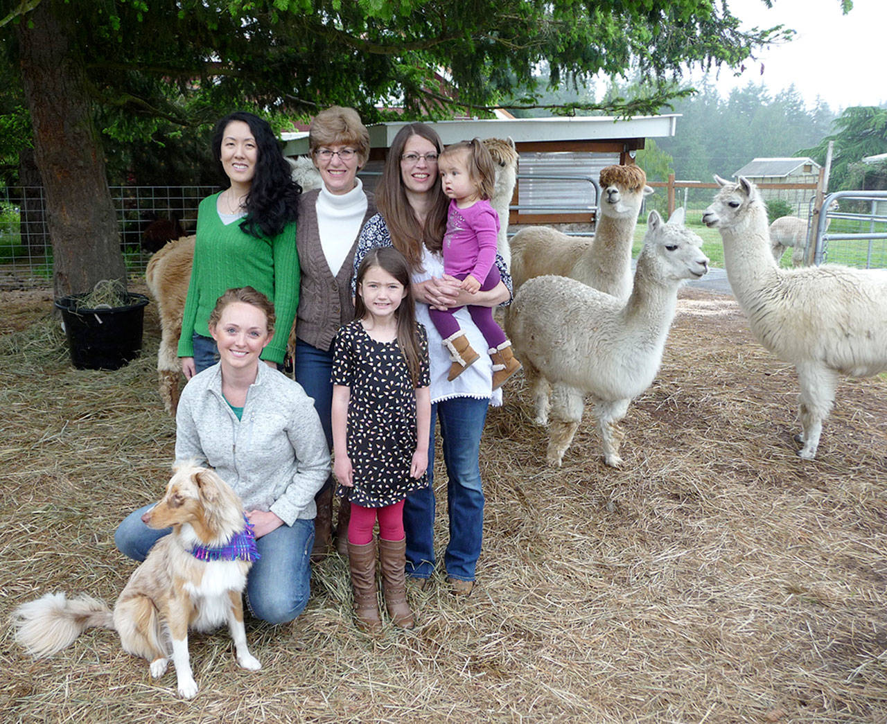 Dyefeltorspin festival celebrates all things fiber; alpaca shearing set for Sunday