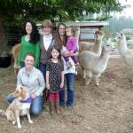 Dyefeltorspin festival celebrates all things fiber; alpaca shearing set for Sunday
