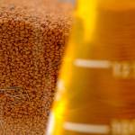 Farm to Table: The wonders of camelina oil