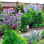 Stroll through petals along pleasant pathways during garden tour