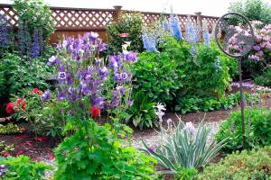 Stroll through petals along pleasant pathways during garden tour