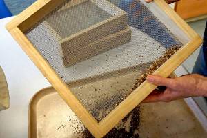 Off the Shelf: New NOLS Grows seed library sprouts