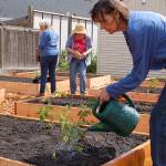 Creating dirt therapy