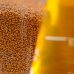 Farm to Table: The wonders of camelina oil