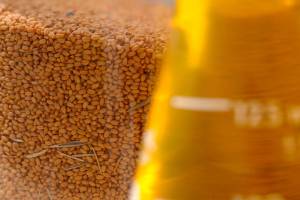 Farm to Table: The wonders of camelina oil