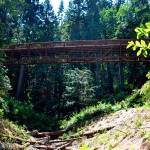 Fish passage projects continue from state park to highway