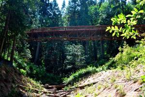 Fish passage projects continue from state park to highway