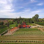 Windermere Sunland listed Purple Haze Lavender for sale last week for $3.25 million. The farm was part of the first Sequim Lavender Festival and now offers Purple Haze Daze during Sequim Lavender Weekend. Photo by Melanie Arrington/Windermere Real Estate