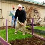 Get It Growing: Winter cover crops