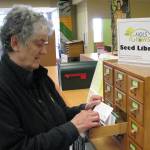 Learn about seed saving at Green Thumbs presentation
