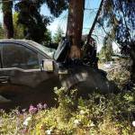 One sent to hospital after truck swerves off Old Olympic Highway