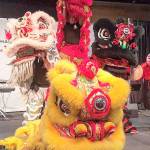 Experience the culture of Vietnam through dance