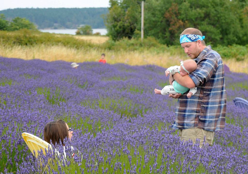 Loving the lavender: A recap of Sequim Lavender Weekend