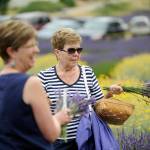 Loving the lavender: A recap of Sequim Lavender Weekend