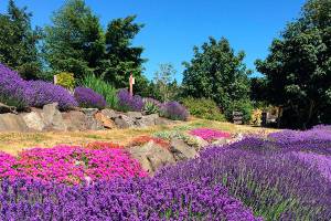 Helping hands sought at botanical garden