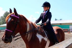 A&E Calendar — July 29, 2017